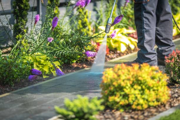 Willow Grove, TX  Pressure Washing Services Company