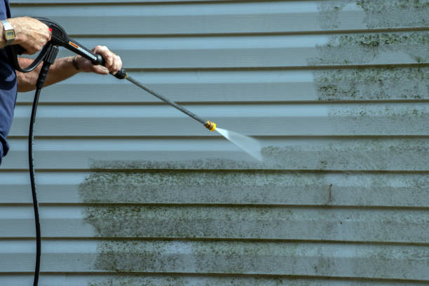 Best Dumpster Area Cleaning  in Willow Grove, TX
